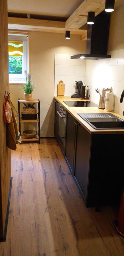 Alter Werkstatt Apartment Junkerath Bagian luar foto
