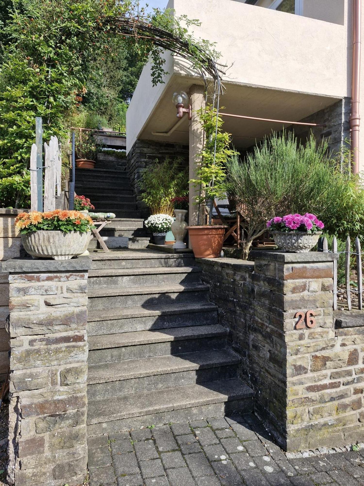 Alter Werkstatt Apartment Junkerath Bagian luar foto